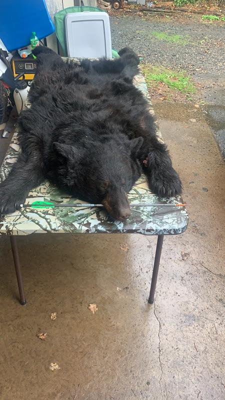 Photo - commentaire&nbsp;8.