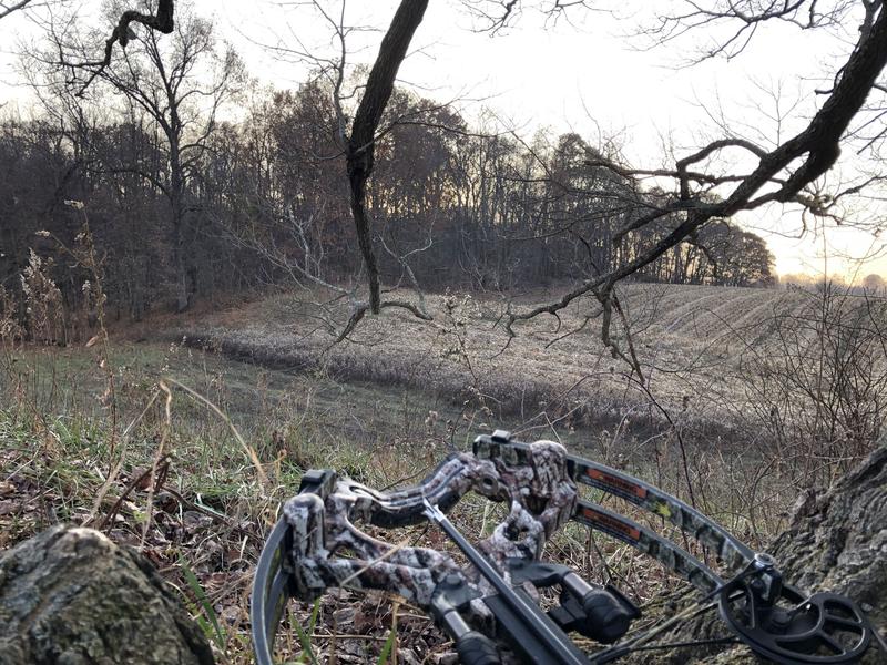 Photo - commentaire&nbsp;3.