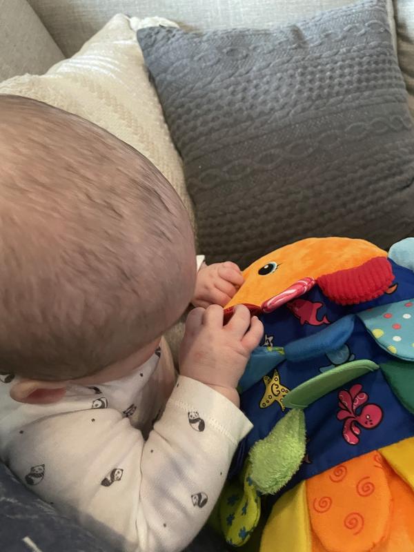 6 month old loves it