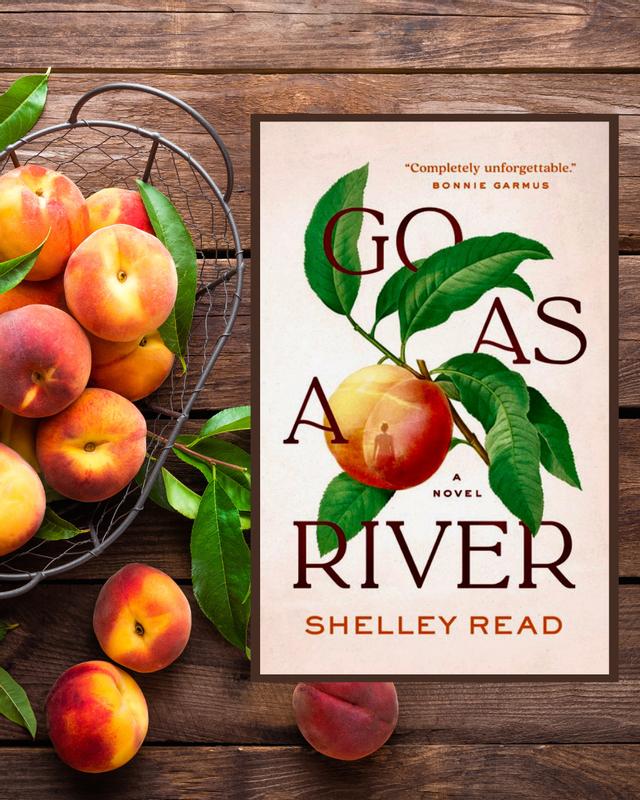 Photo from @bookshelfbybeckwith