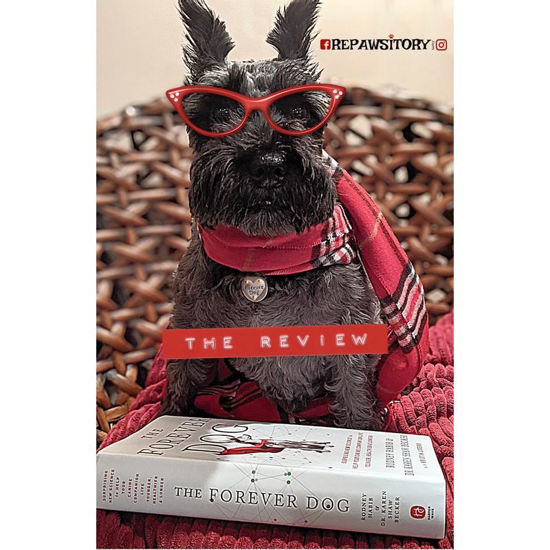 The Forever  Dog book