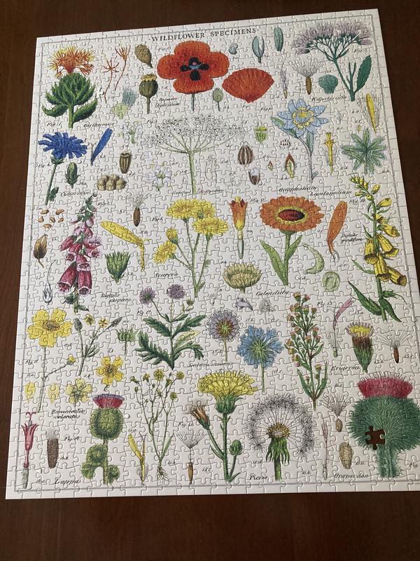 Wildflowers PZL/WF Cavallini 1000 Piece Puzzle