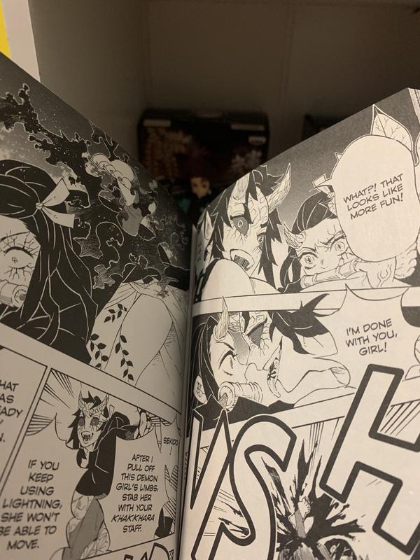 Demon Slayer Kimetsu No Yaiba, Mangá Vol. 13 E 14