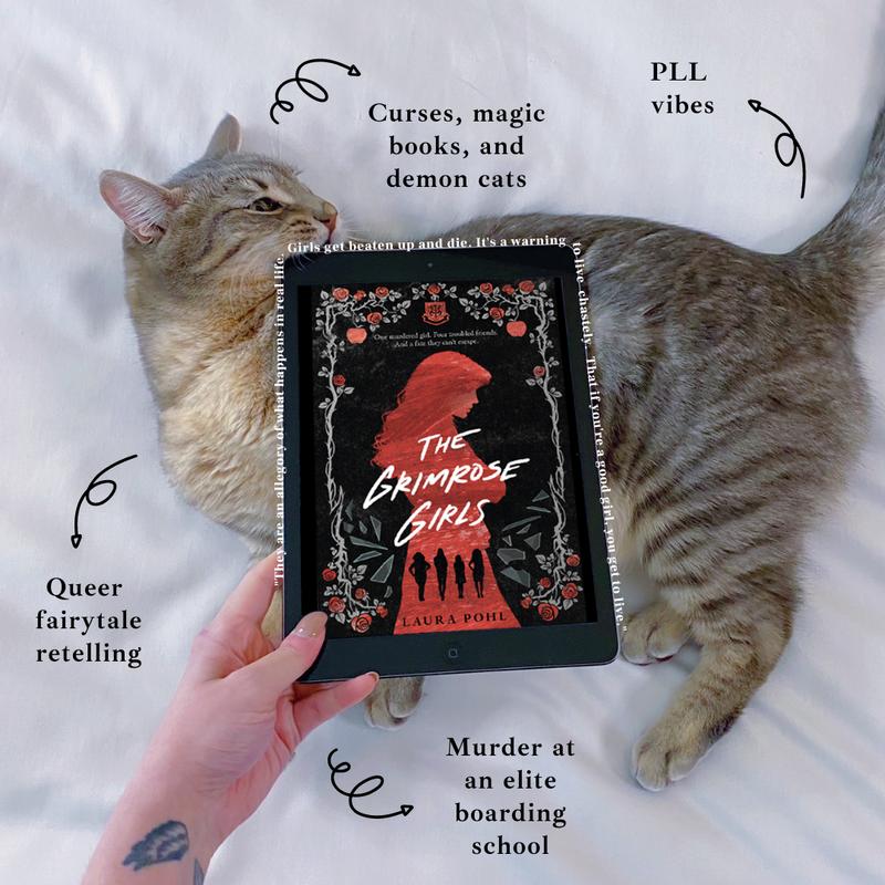 Instagram photo from @the_little_grey_cat_reads