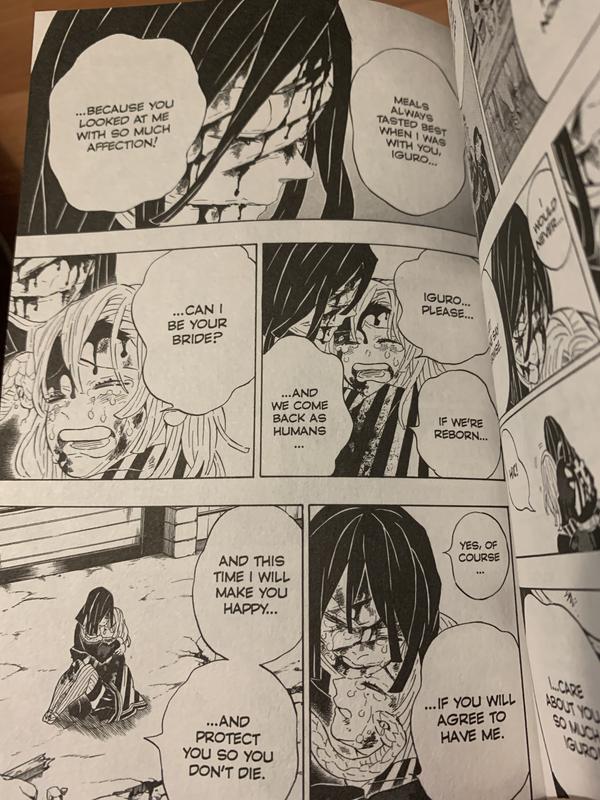  Demon Slayer Kimetsu no Yaiba Manga Vol 1 - 23
