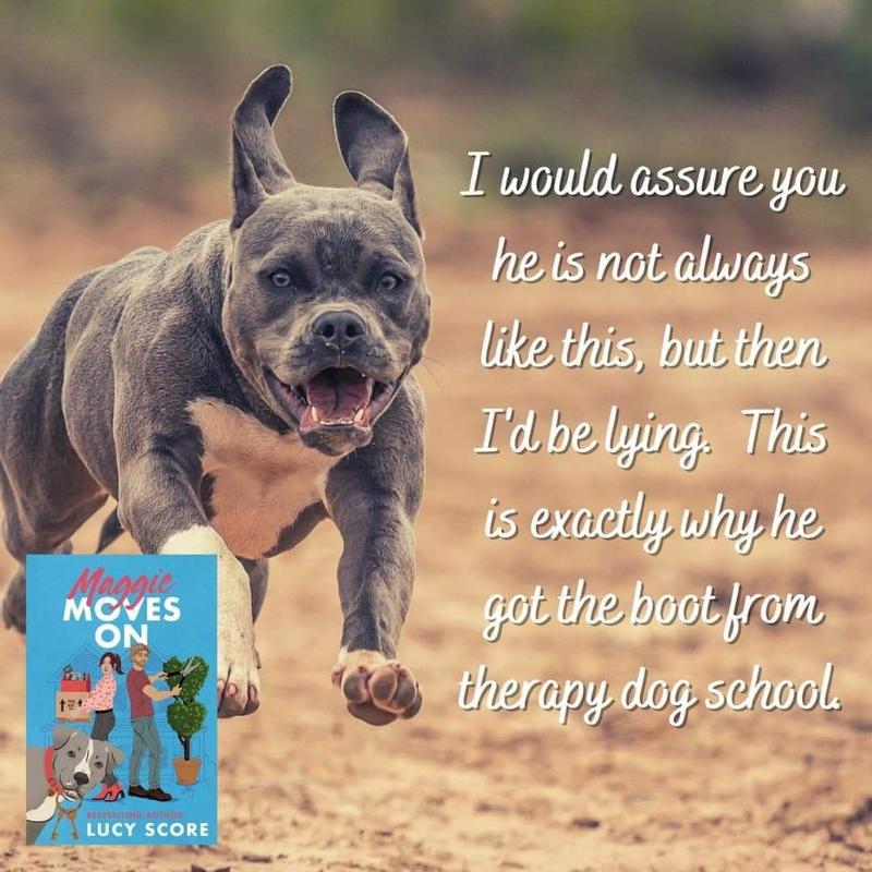 Kevin, the therapy school failure, best pup in the world!