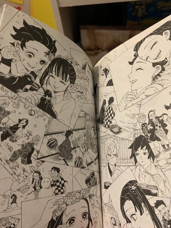  Demon Slayer Kimetsu no Yaiba Manga Vol 1 - 23
