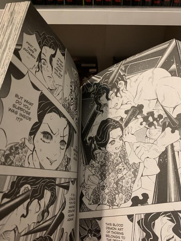 Demon Slayer: Kimetsu no Yaiba, Vol. 16 (16)