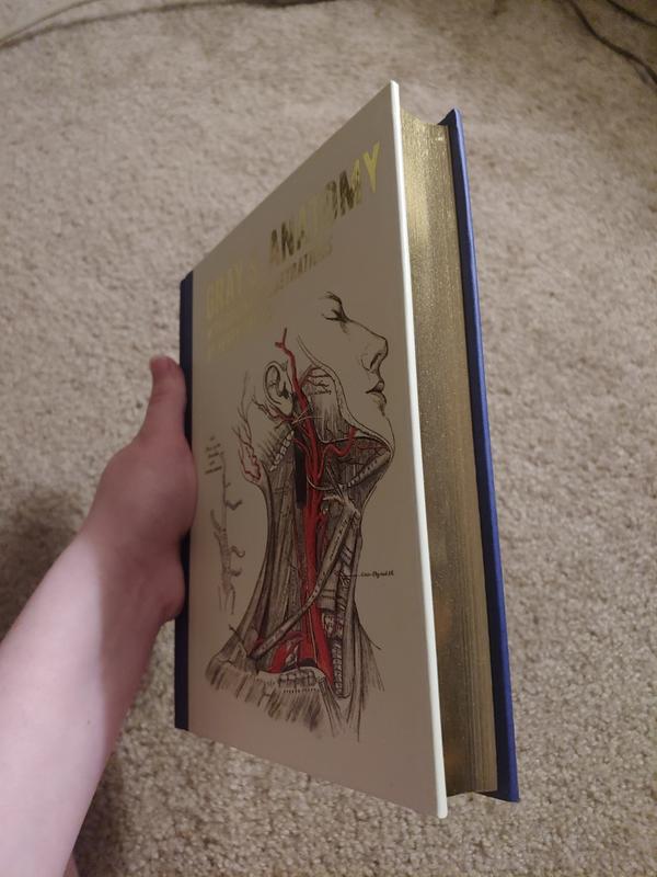 Gray's Anatomy 第39版 Gray's Anatomy, 39th Edition: The Anatomical Basis of