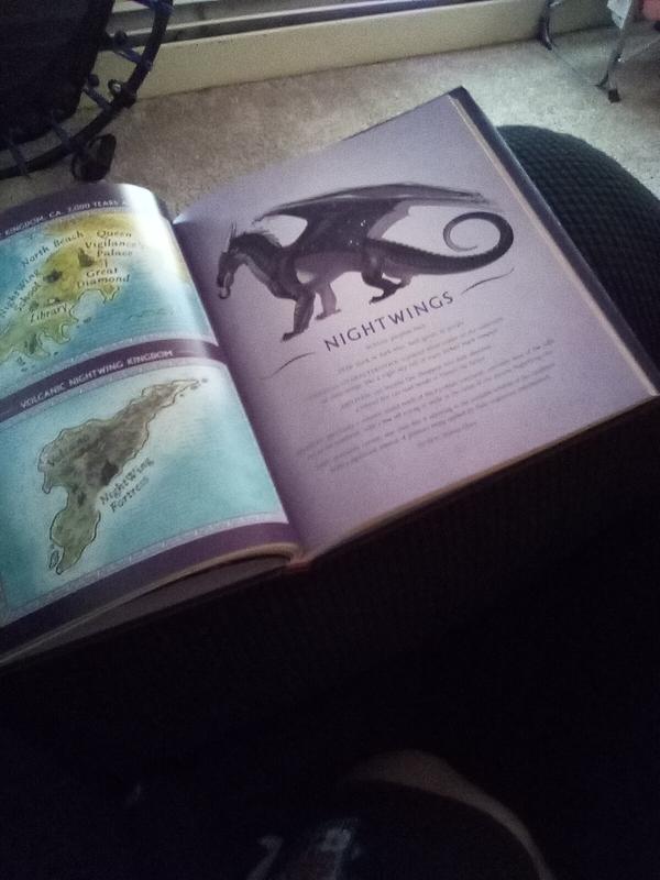 Wings of Fire: A Guide to the Dragon World by Tui T