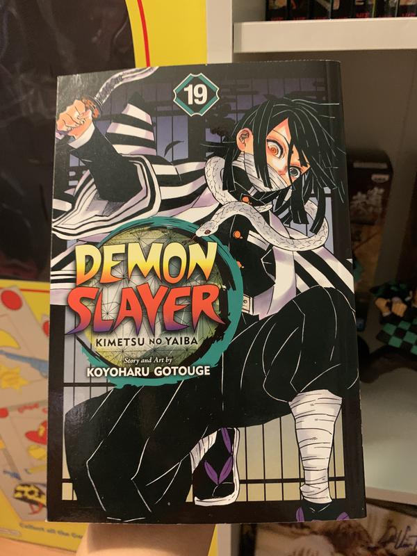 Demon Slayer - Kimetsu No Yaiba Vol. 19