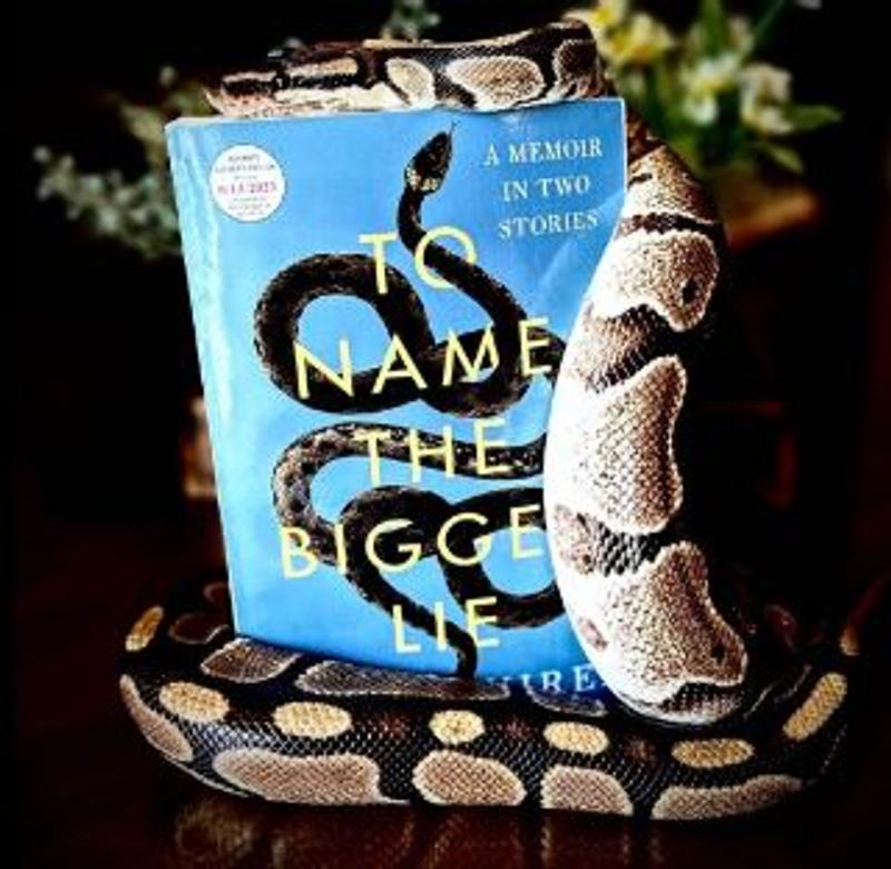 Photo from @literati_list