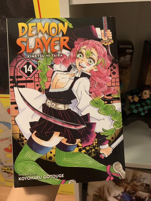 1 Vol. of Demon Slayer Kimetsu no Yaiba Manga English Version (Vol