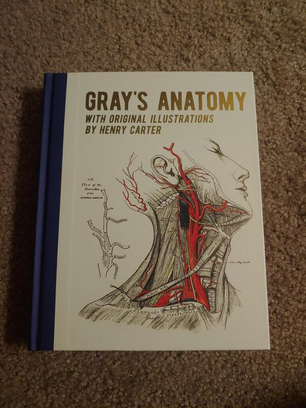 Gray's Anatomy (Barnes & Noble Collectible Editions) by