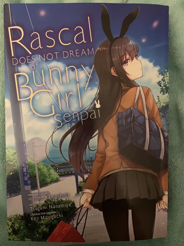 Rascal Does Not Dream of a Dreaming Girl (Seishun Buta Yarou wa Yumemiru  Shoujo no Yume wo Minai) 1 – Japanese Book Store