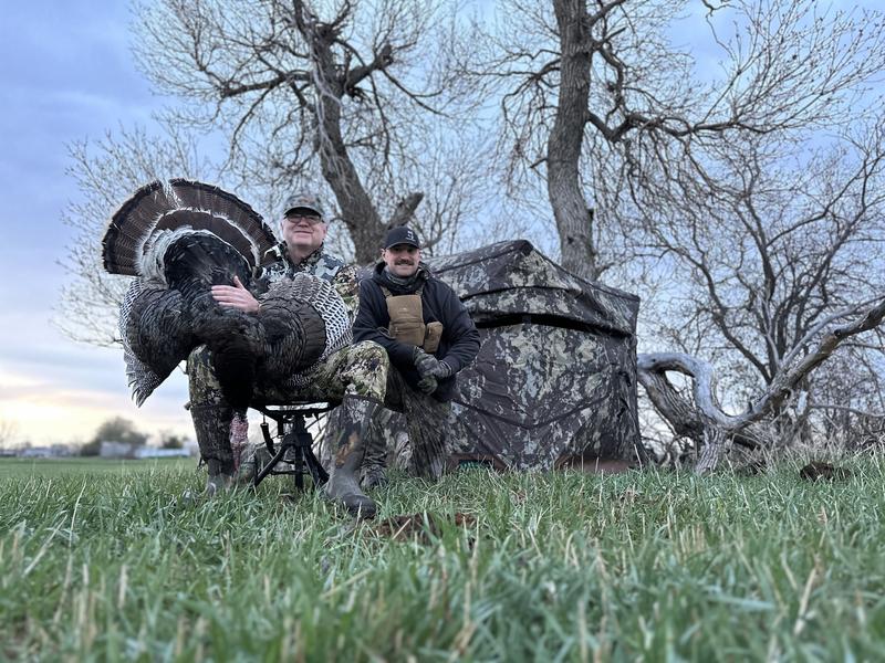 Tagged out OX5