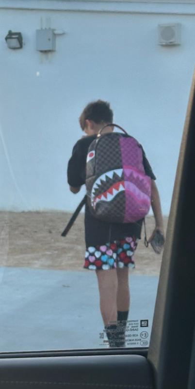 Photo submitted with review of product