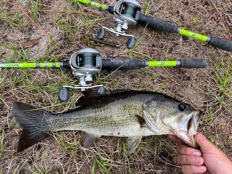 Bass Pro Shops Freestyle Spinning Combo - 40 - 7' - Medium Heavy - Blue