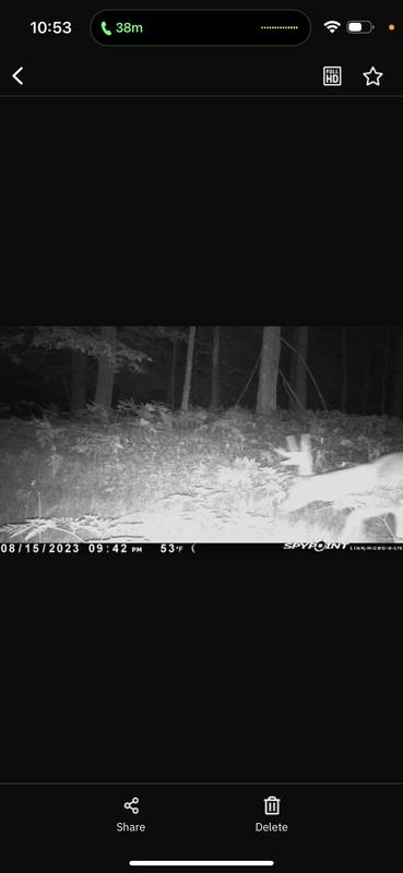delete spypoint camera