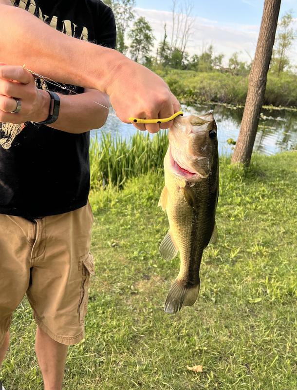 Bass Stopper Lures Rigged Worm