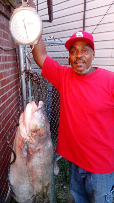 catmaxx spinning reel