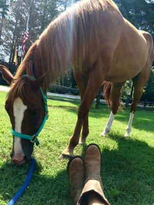 redhead destry western work boots