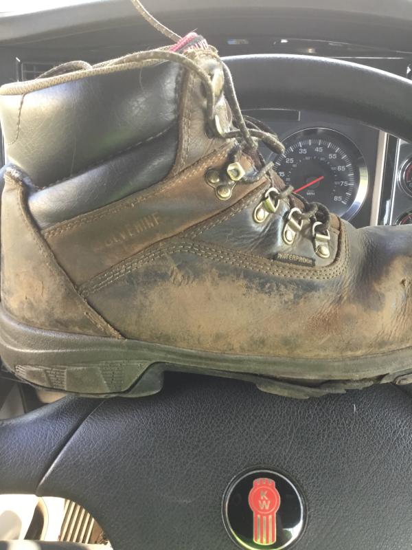 w10314 wolverine boot