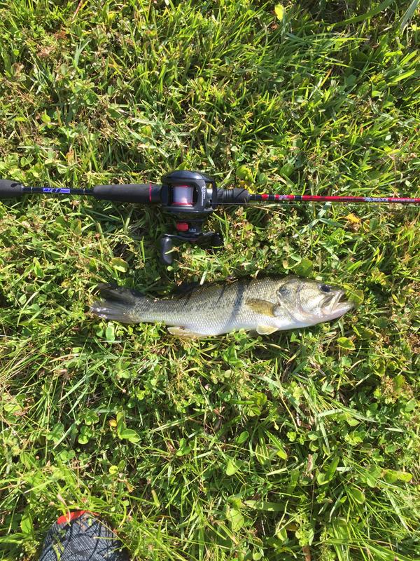 bass pro shop baitcast combo