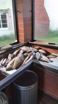 uncle buck's crappie pole