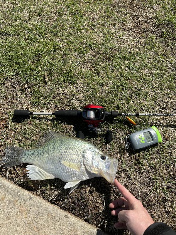 Bass Pro Crappie Maxx Rod and Mr. Crappie 4lbs Test Caught What?!? 