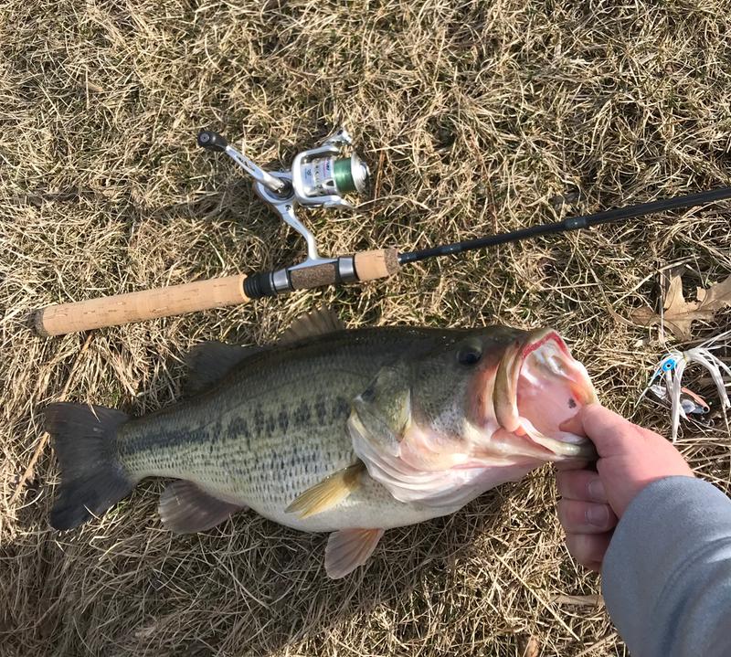 Bass Pro Shop Tiny Lite & Micro Lite (Update) 