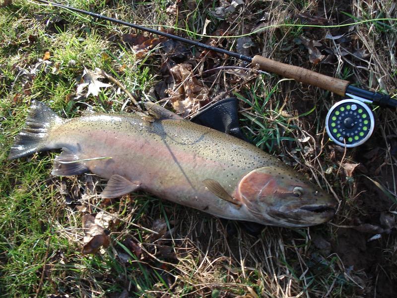 white river fly rod combo