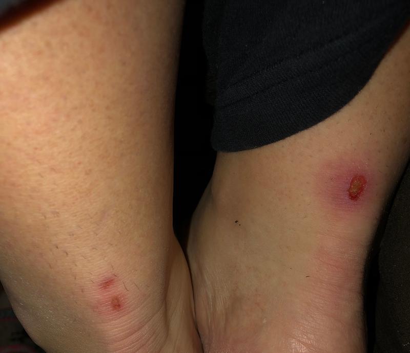 redhead rack hunter 2 boots