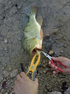 Bass Pro Shops Fish Gripper Pliers