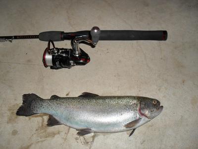 super duper trout lure
