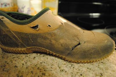 pro line camper waterproof shoes