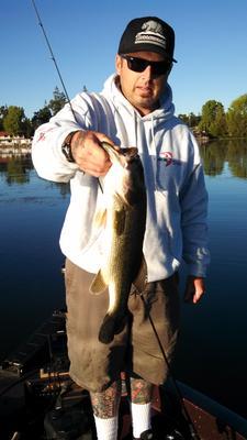 Lake Fork Trophy Lures Live Magic Shad