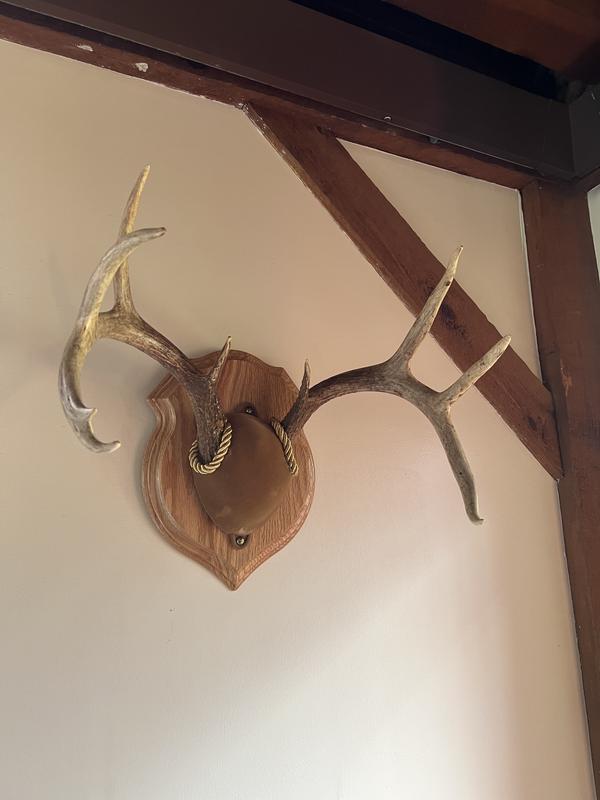 Deluxe Antler Display Kit