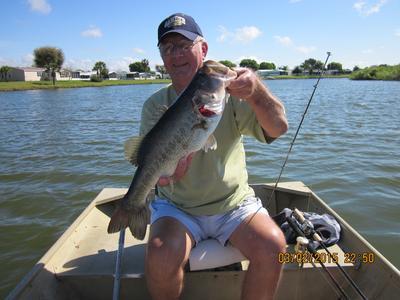 Lake Fork Trophy Lures Ring-Fry or Baby Ring-Fry