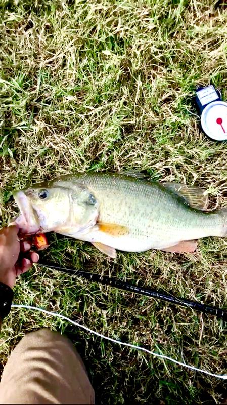 bass pro crankin stick