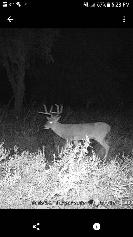 Wildgame Innovations Mirage 18 Game Camera Bass Pro Shops