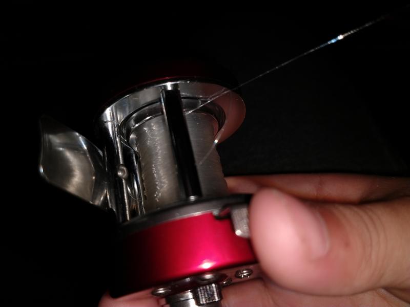 crappie maxx reel