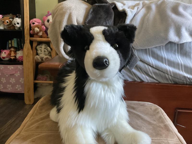 Byron the Border Collie, 7 Inch Stuffed Animal Plush