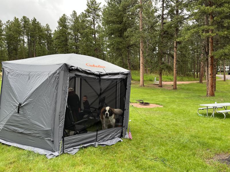 Cabela's quick shop set screen shelter