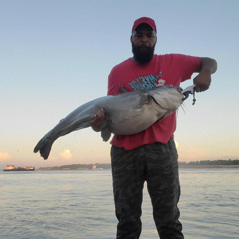 catmaxx spinning reel