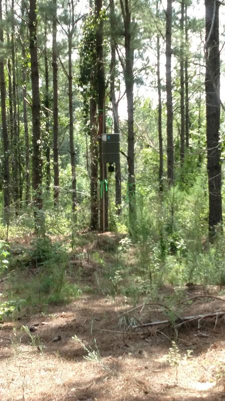 Moultrie Pro Hunter 30 Gallon Hanging Game Feeder Bass Pro Shops