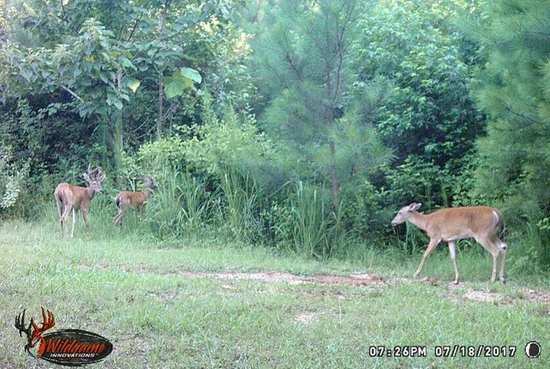 Wild Game Innovations Camera Software