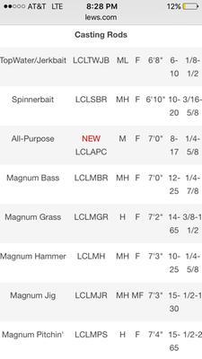 lews custom lite speed stick baitcasting