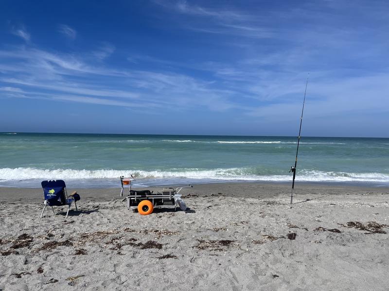 The Essential Tool for Beach Fishing: Sand Spike Rod Holder