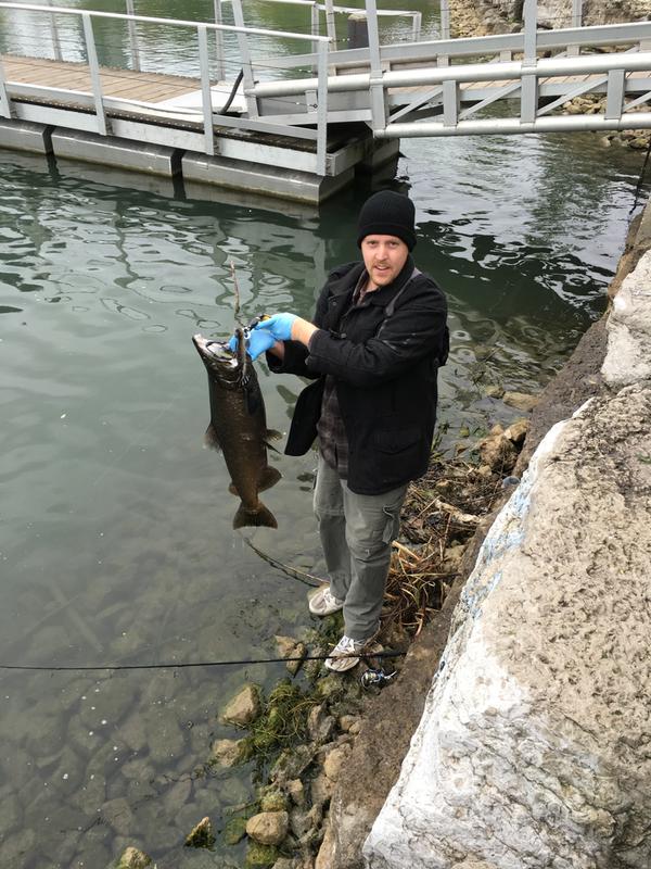 bass pro fish gripper